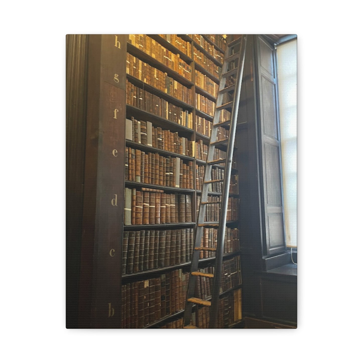 Library Wall Art | Vintage Bookcase Canvas Print - Trinity College Long Room