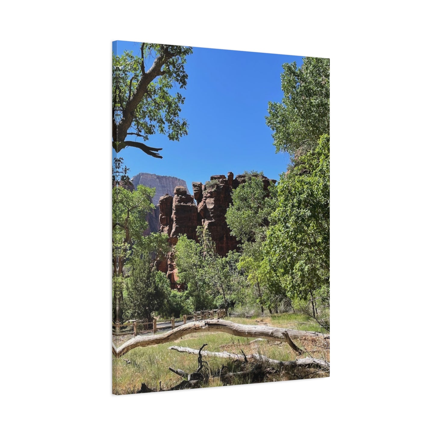 Stretched Canvas Art - Scenic Nature Landscape