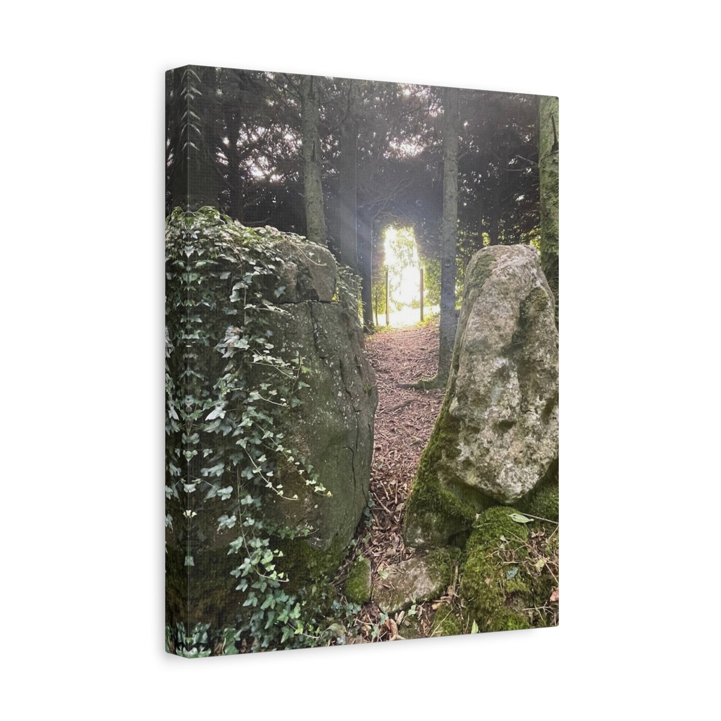 Serene Nature Wall Art Canvas – Tranquil Forest Scene for Home Decor