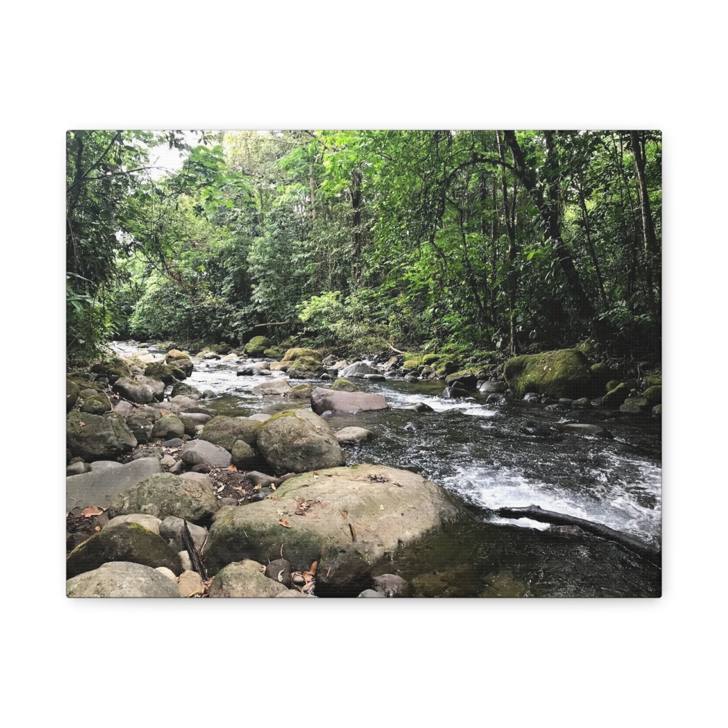 Serene Nature Canvas Wall Art – Tranquil River Landscape, 1.25" Stretched Print