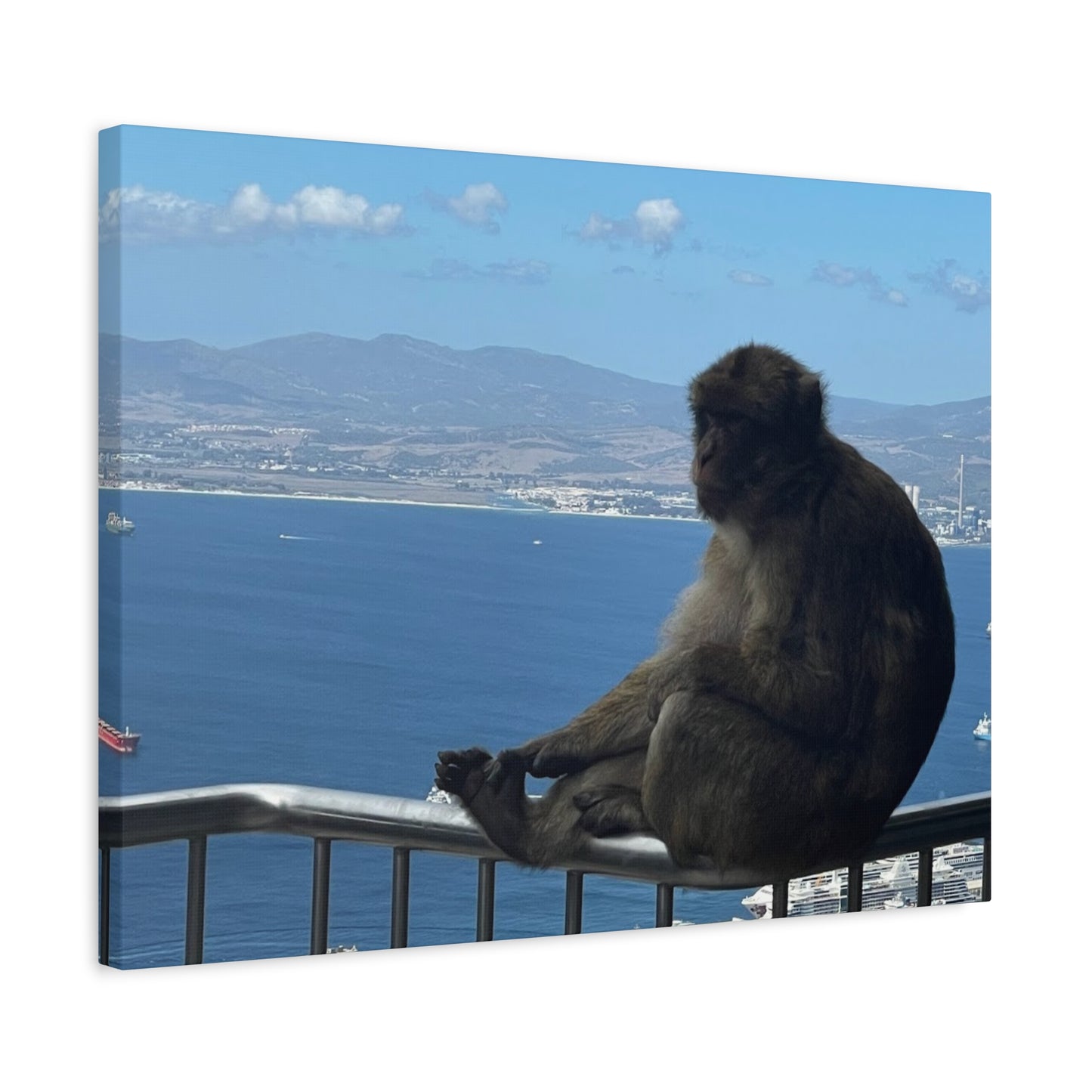 Monkey by the Sea Canvas Art - Relaxing Coastal Wall Decor Gibraltar