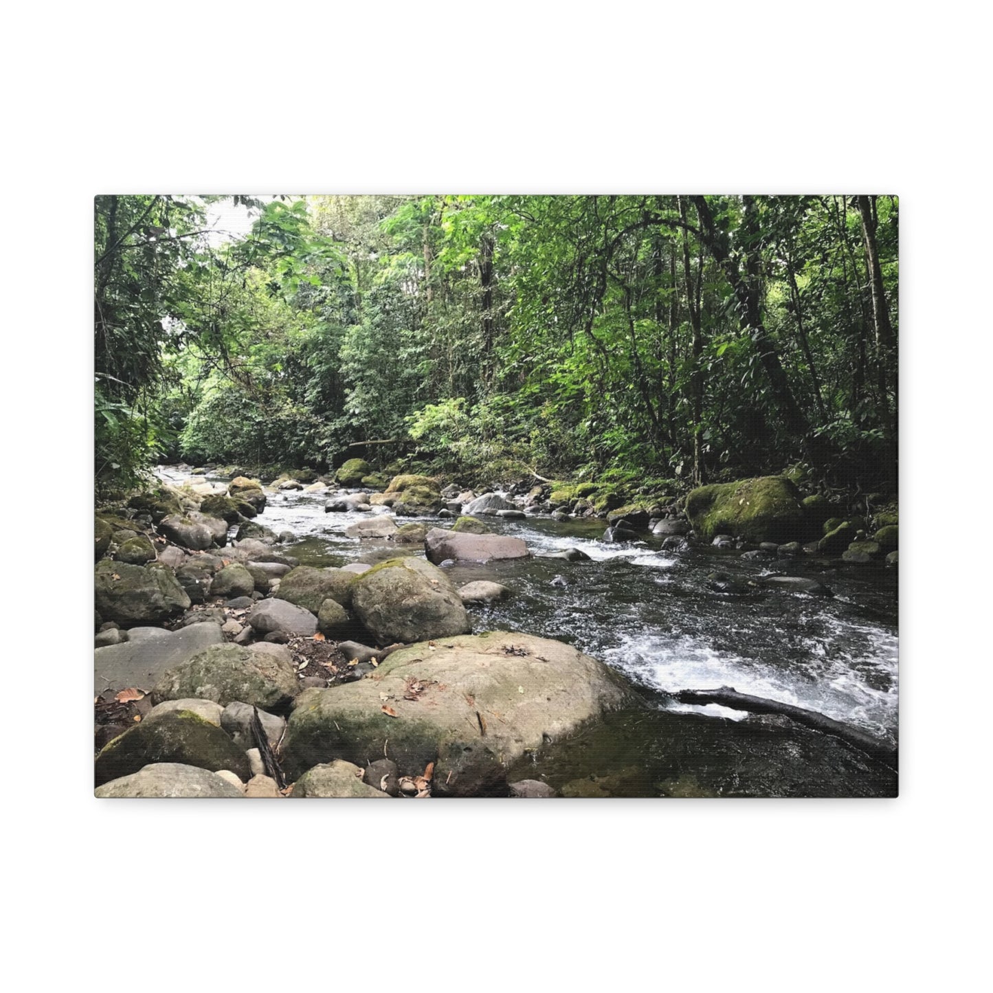 Serene Nature Canvas Wall Art – Tranquil River Landscape, 1.25" Stretched Print