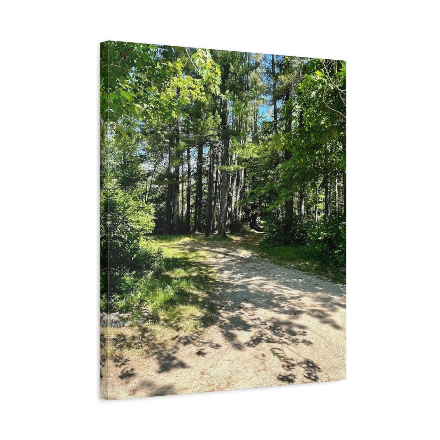Serene Forest Path Canvas Wall Art - Tranquil Nature Decor for Home