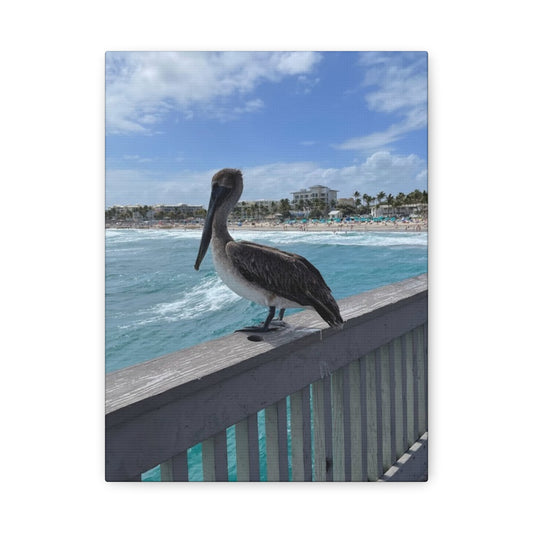 Coastal Serenity Pelican Canvas Print - 1.25" Stretched Wall Art