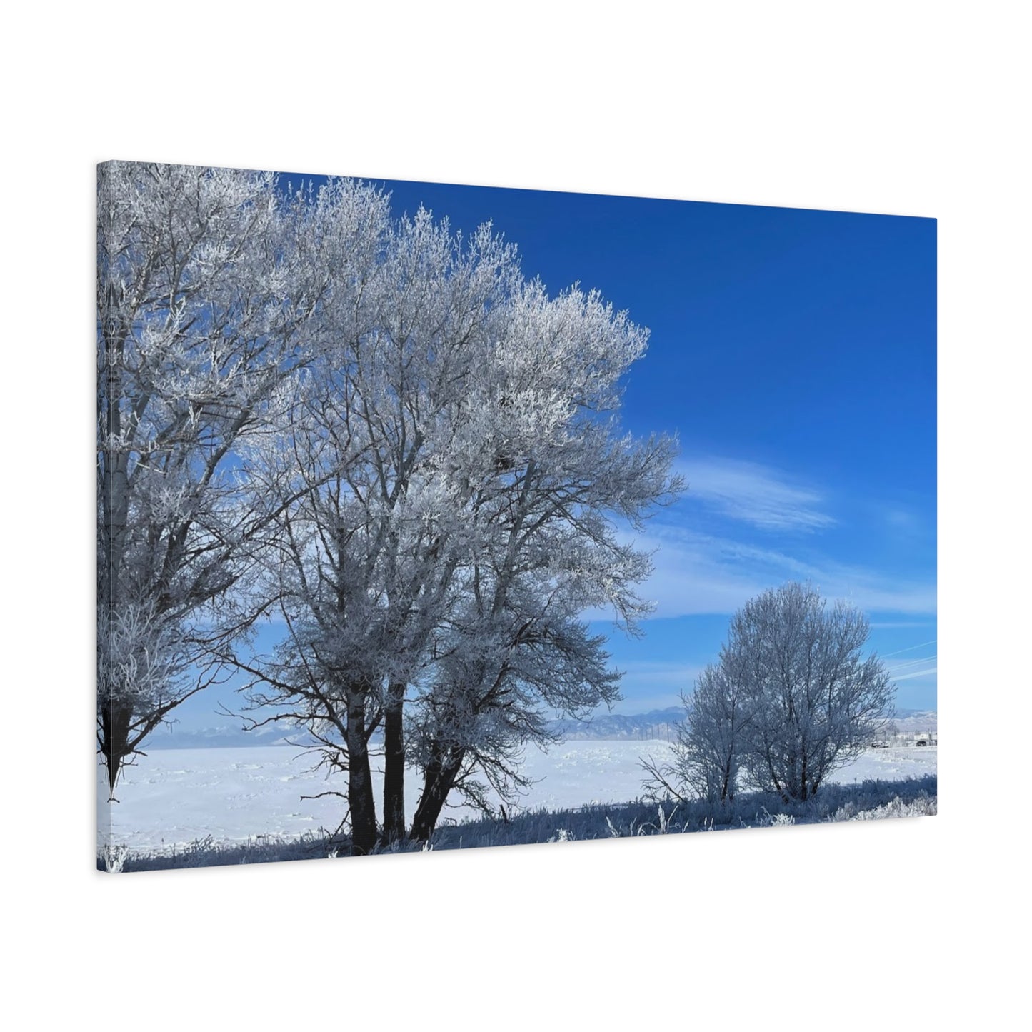 Winter Wonderland Canvas Art