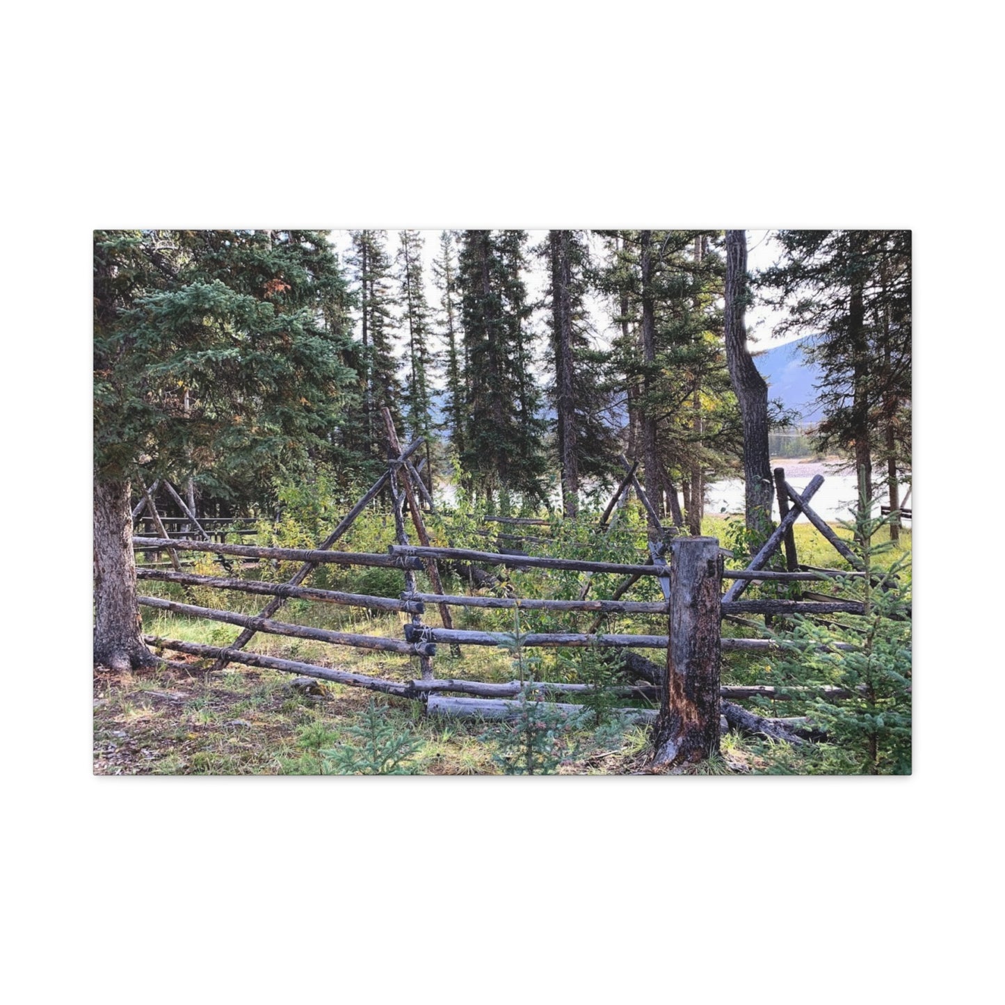 Nature-Inspired Wall Art Canvas Print - Tranquil Forest Scene