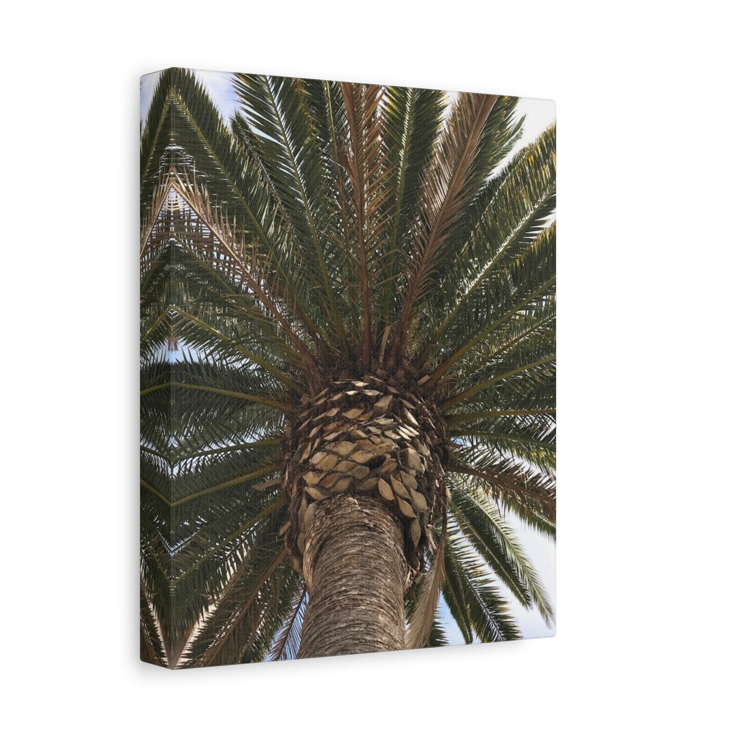 Tropical Palm Tree Canvas Art - Stretched Wall Decor for Home or Office