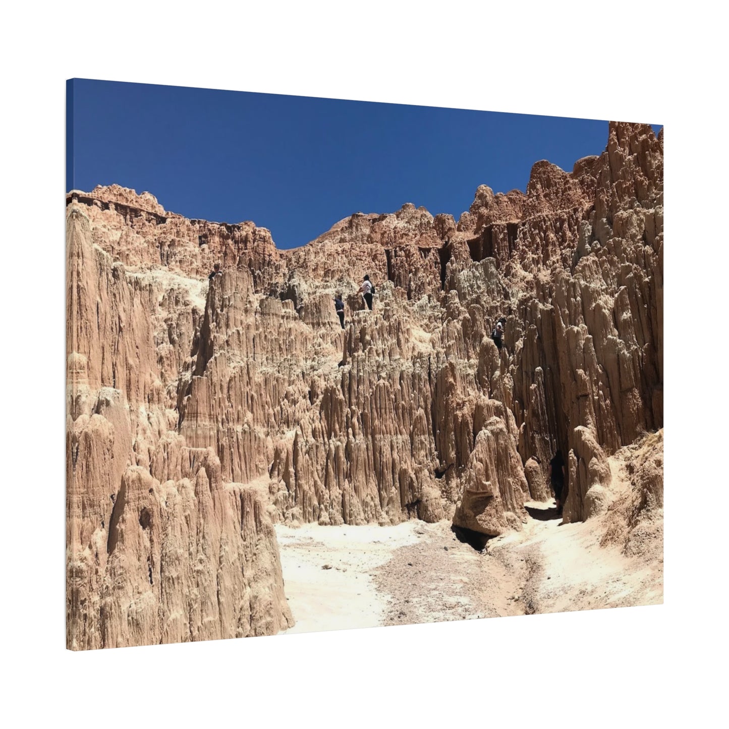 Desert Landscape Canvas Wall Art - Stretched Matte Print