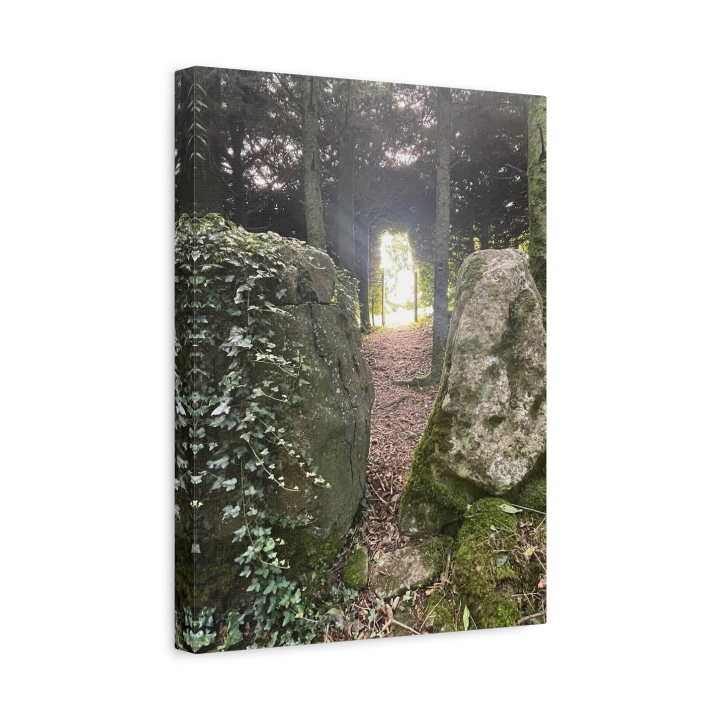 Serene Nature Wall Art Canvas – Tranquil Forest Scene for Home Decor