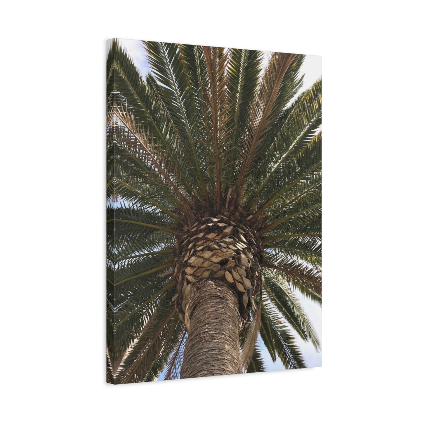 Tropical Palm Tree Canvas Art - Stretched Wall Decor for Home or Office
