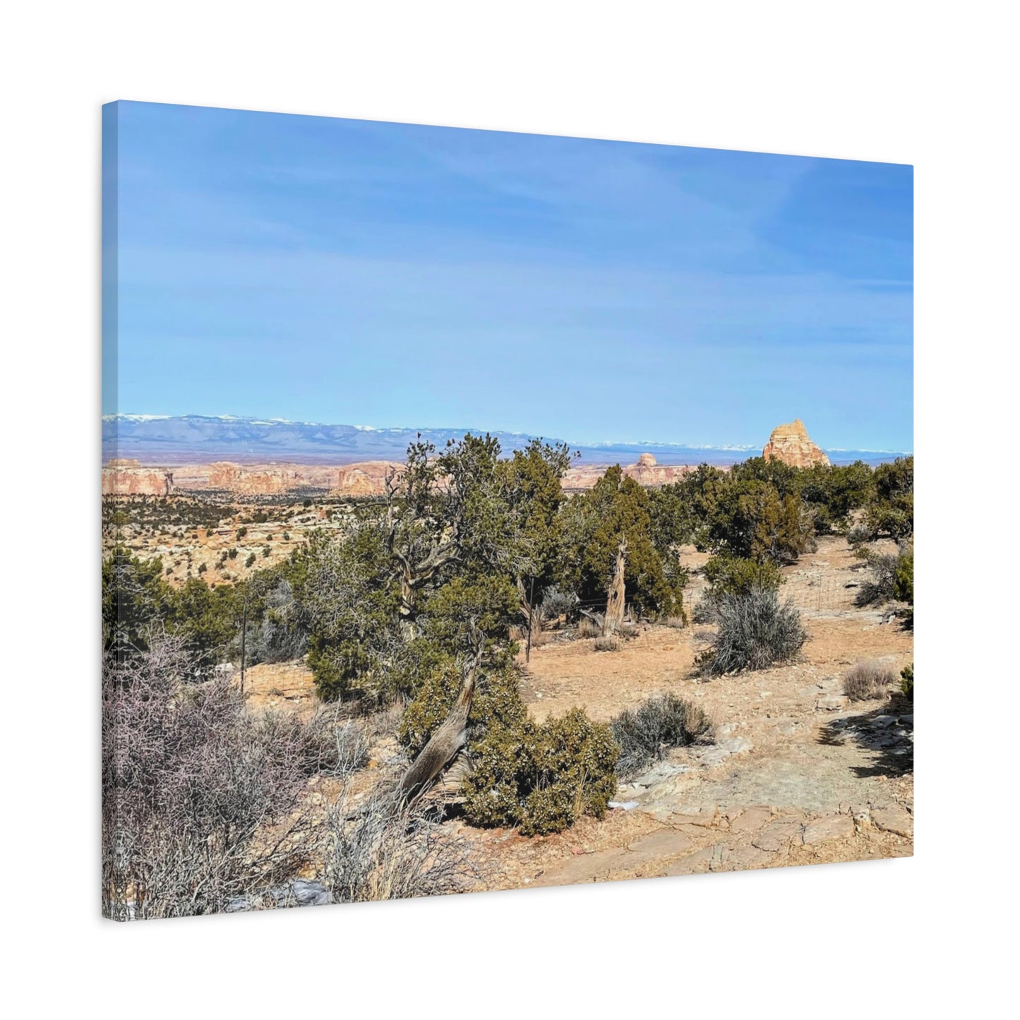 Desert Landscape Canvas Wall Art – 1.25" Matte Stretched Decor for Nature Lovers