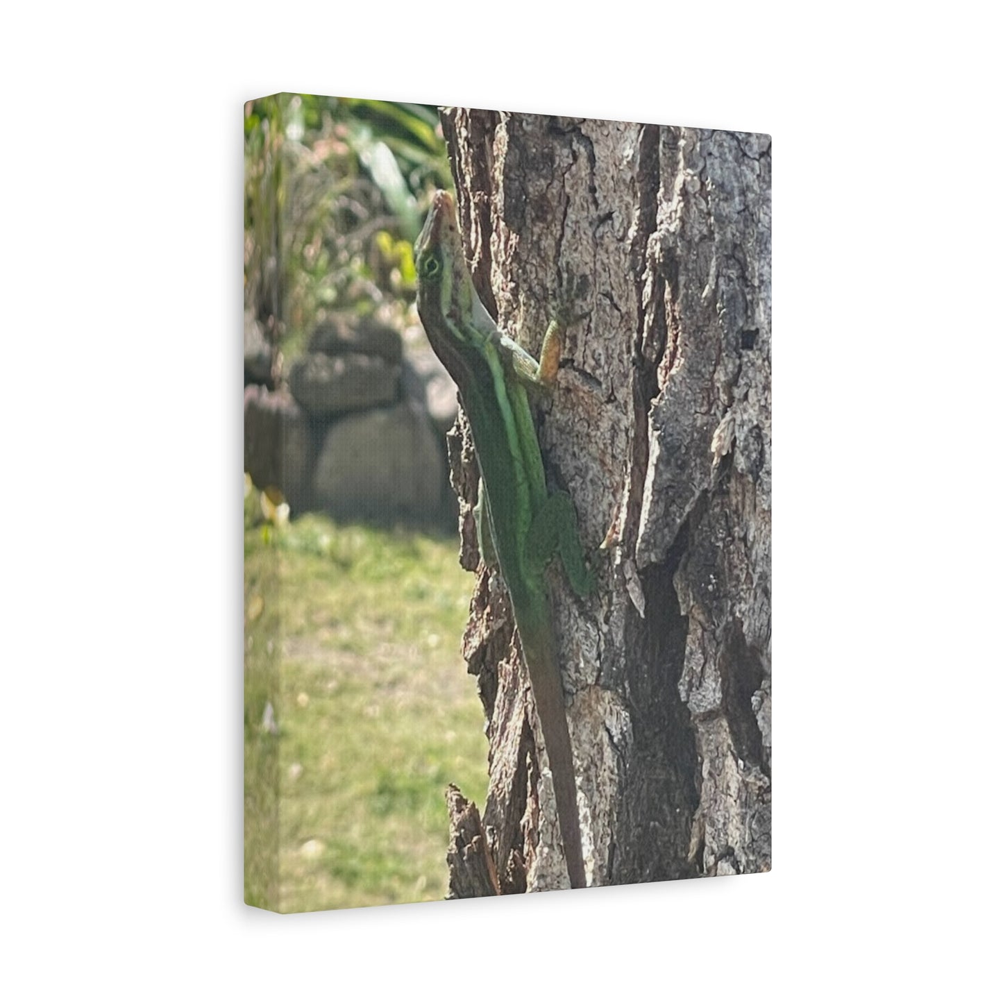 Nature-Inspired Stretched Canvas Art featuring Green Lizard on Tree