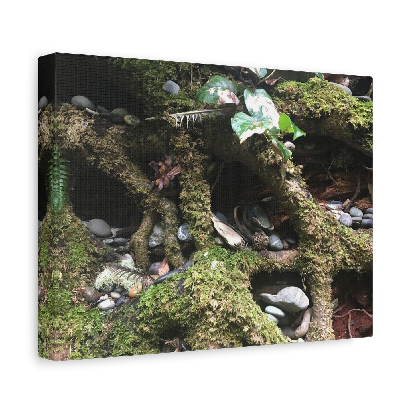 Nature-Inspired Matte Canvas Wall Art - Serene Root and Stone Design