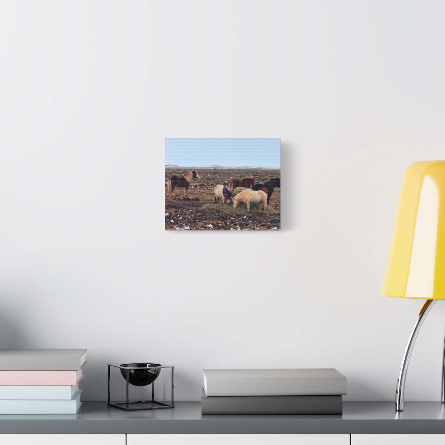 Icelandic Horse Canvas Art - Matte Stretched Print for Animal Lovers