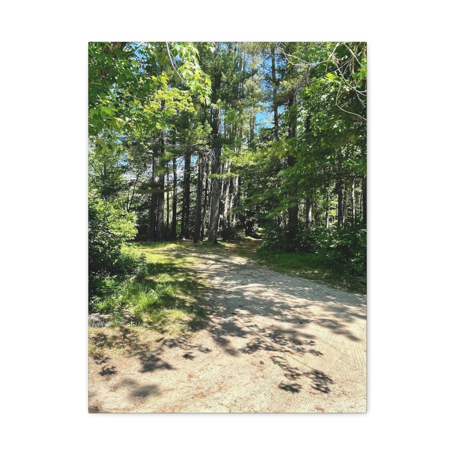 Serene Forest Path Canvas Wall Art - Tranquil Nature Decor for Home