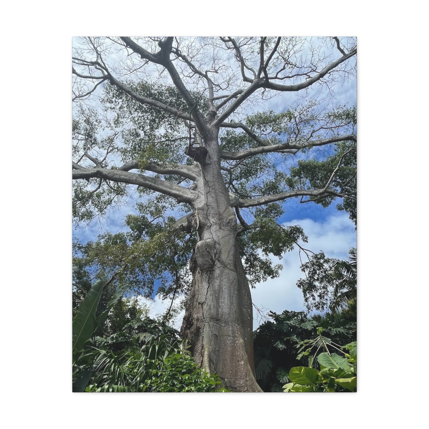 Stretched Canvas Art - Majestic Tree Wall Decor for Nature Lovers