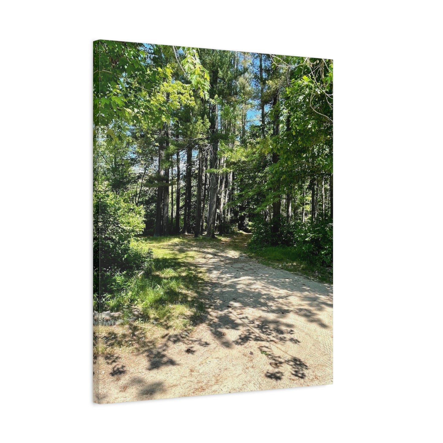 Serene Forest Path Canvas Wall Art - Tranquil Nature Decor for Home