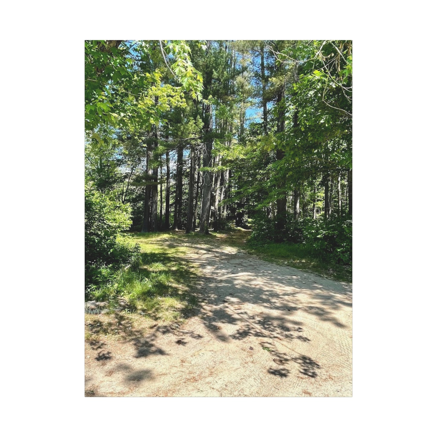 Serene Forest Path Canvas Wall Art - Tranquil Nature Decor for Home
