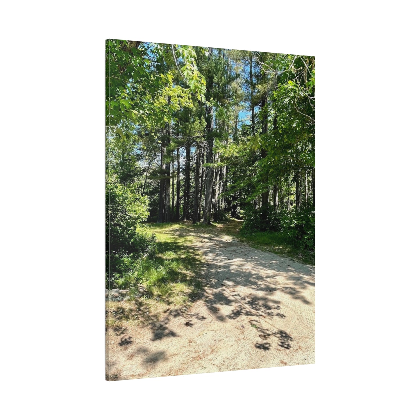 Serene Forest Path Canvas Wall Art - Tranquil Nature Decor for Home