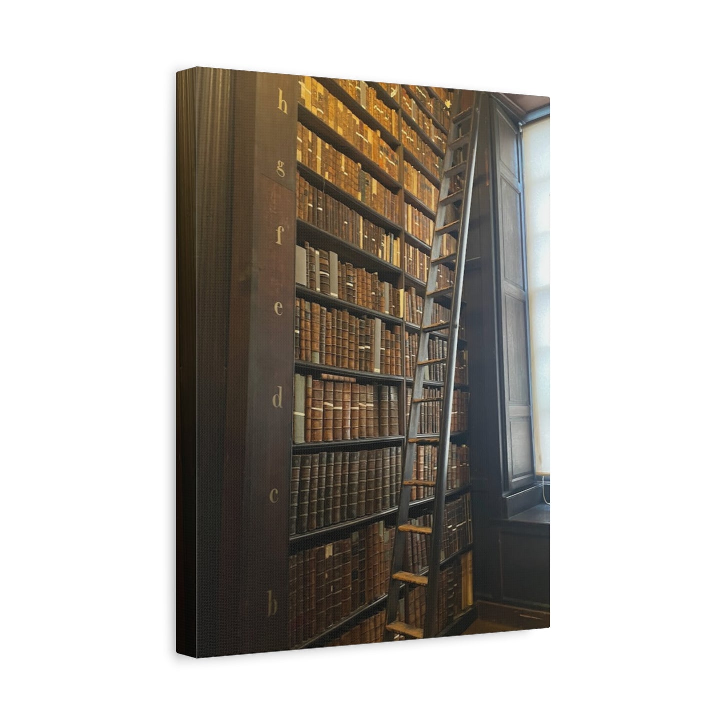 Library Wall Art | Vintage Bookcase Canvas Print - Trinity College Long Room