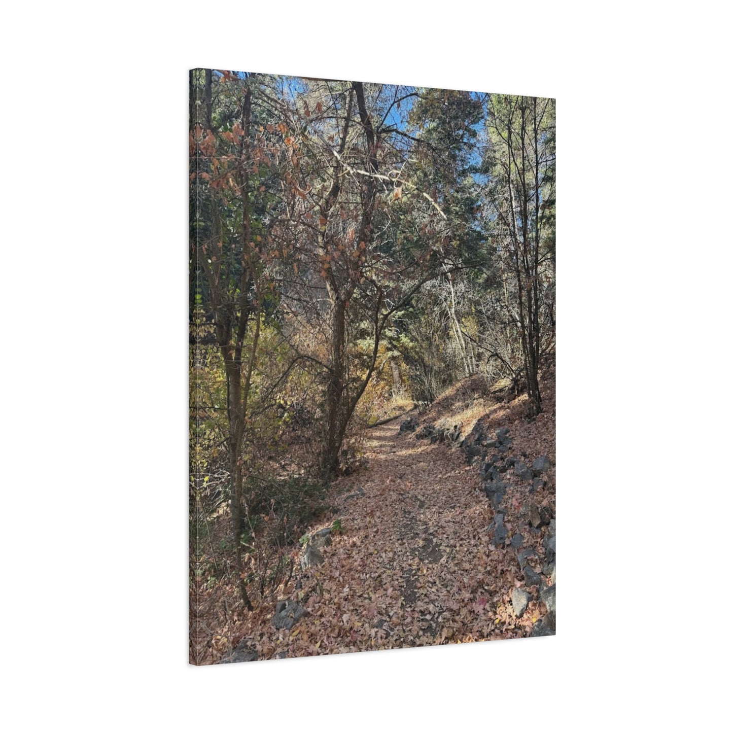 Nature-Inspired Matte Canvas Art - Stretched Wall Decor