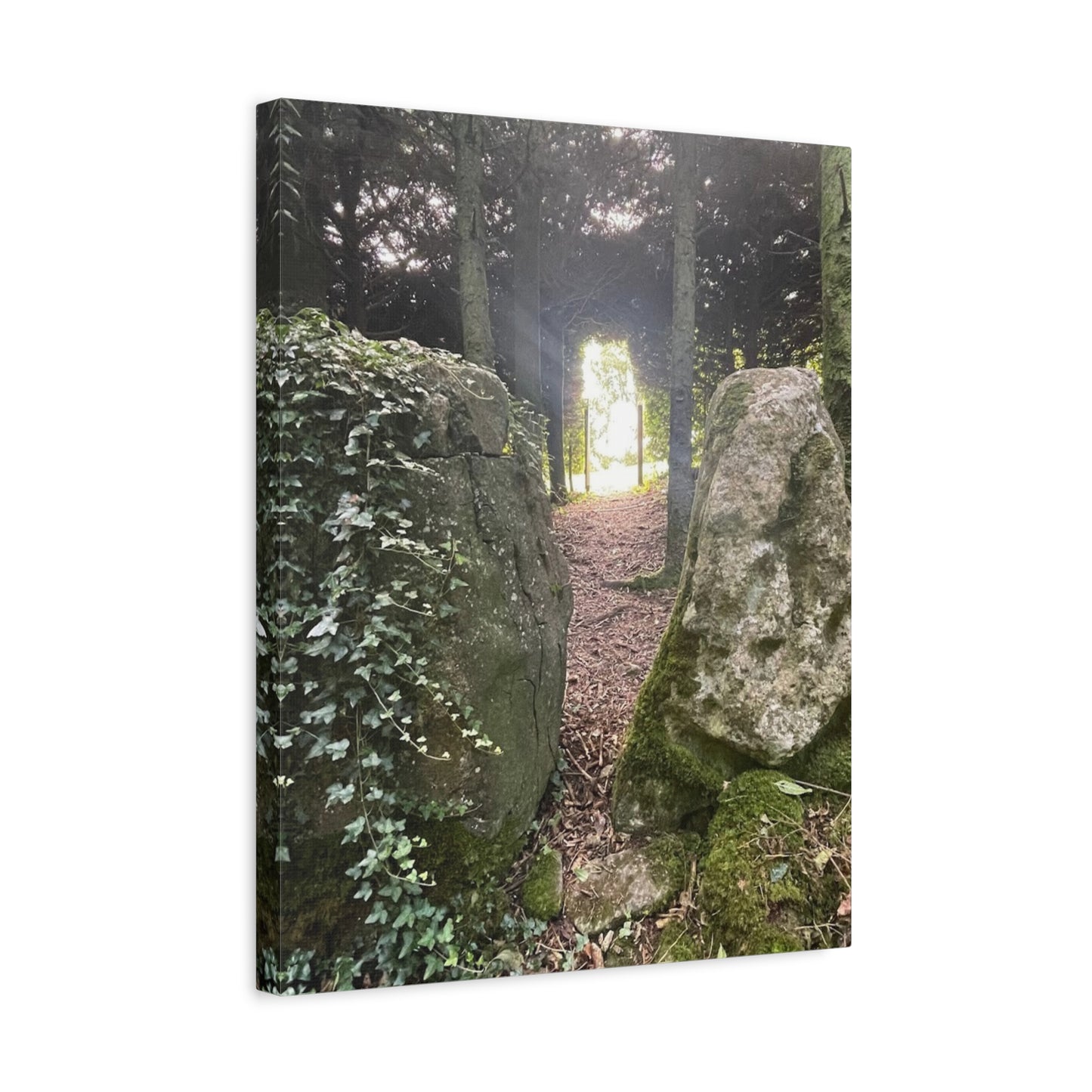 Serene Nature Wall Art Canvas – Tranquil Forest Scene for Home Decor