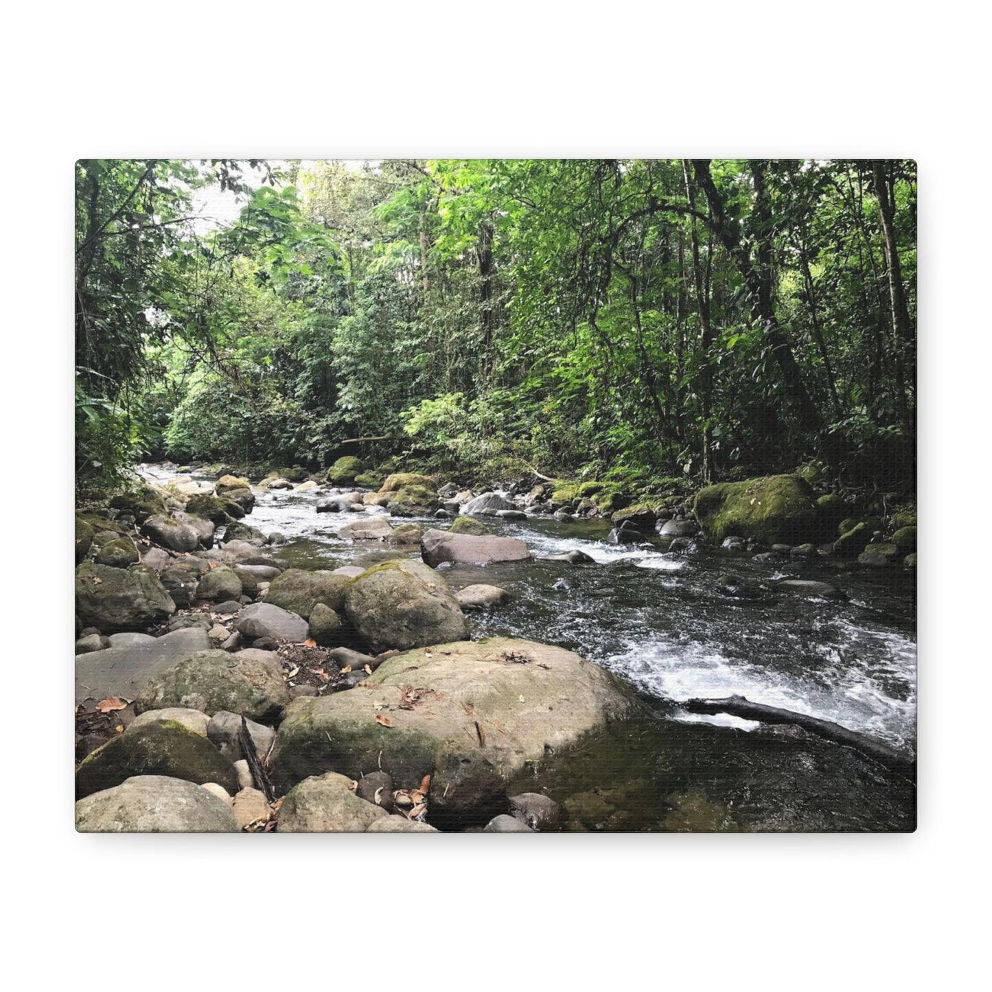 Serene Nature Canvas Wall Art – Tranquil River Landscape, 1.25" Stretched Print