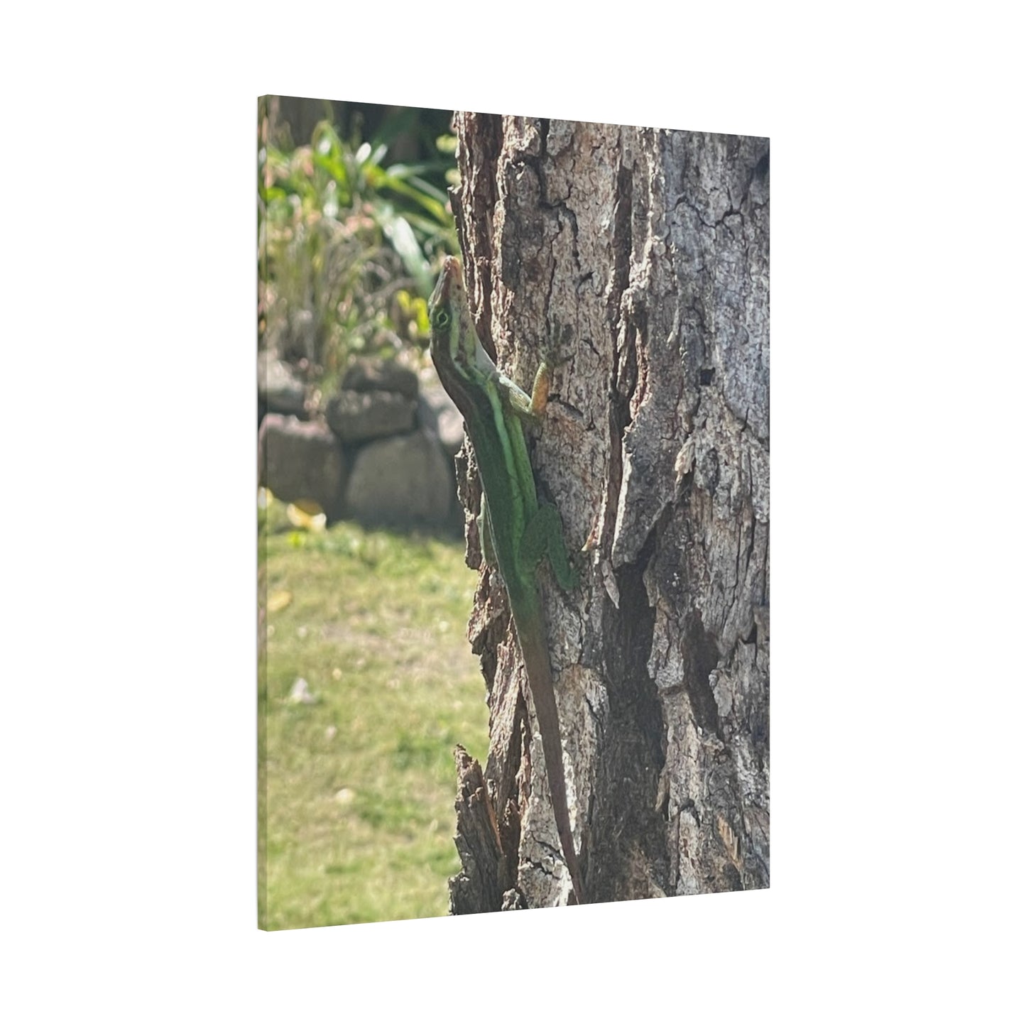 Nature-Inspired Stretched Canvas Art featuring Green Lizard on Tree