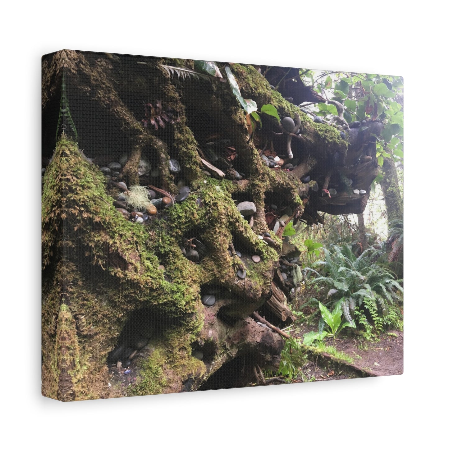 Nature-Inspired Stretched Canvas Art: Enchanted Forest Vibes