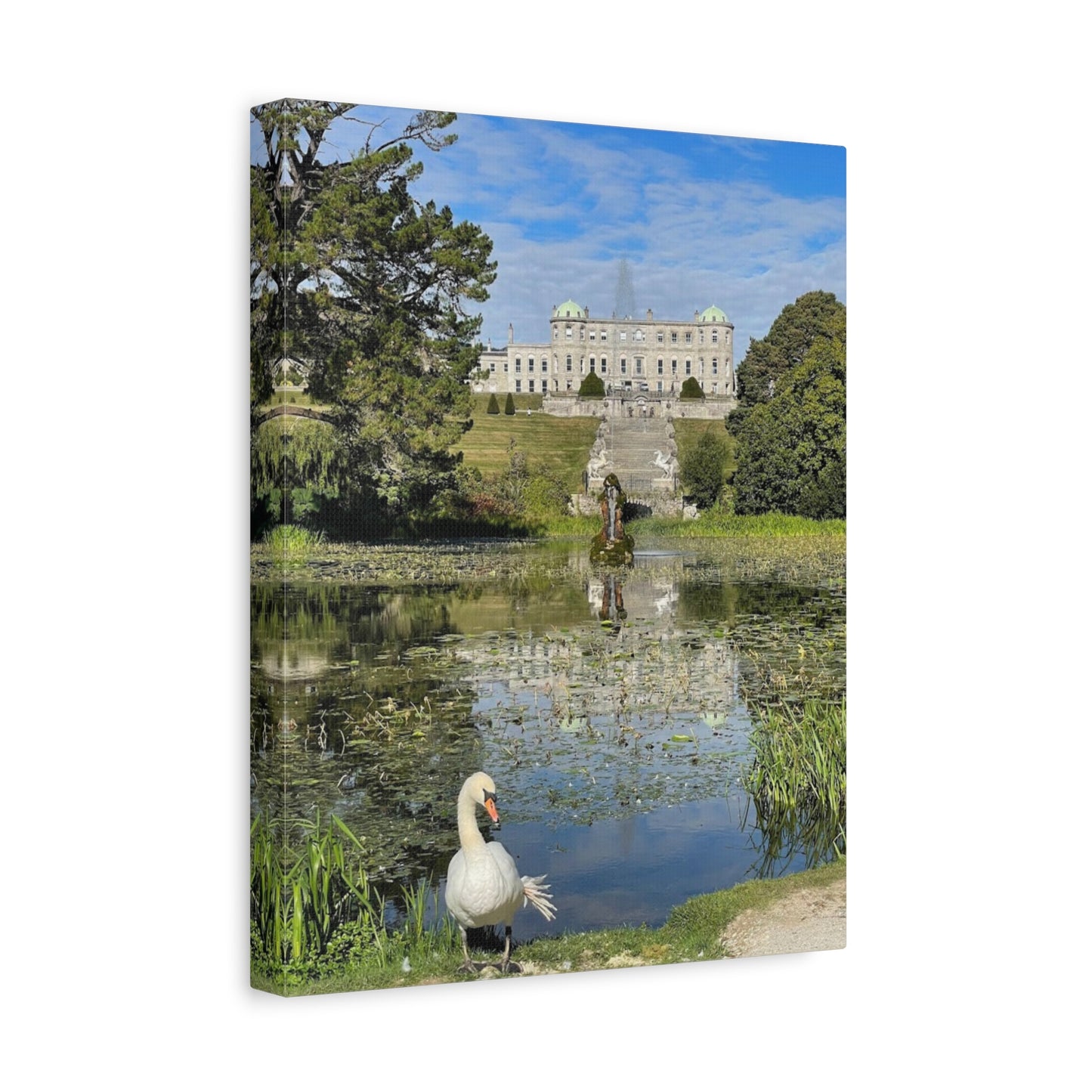 Stretched Matte Canvas Print - Serene Swan Reflection in Nature Powerscourt Estate, Wicklow Ireland