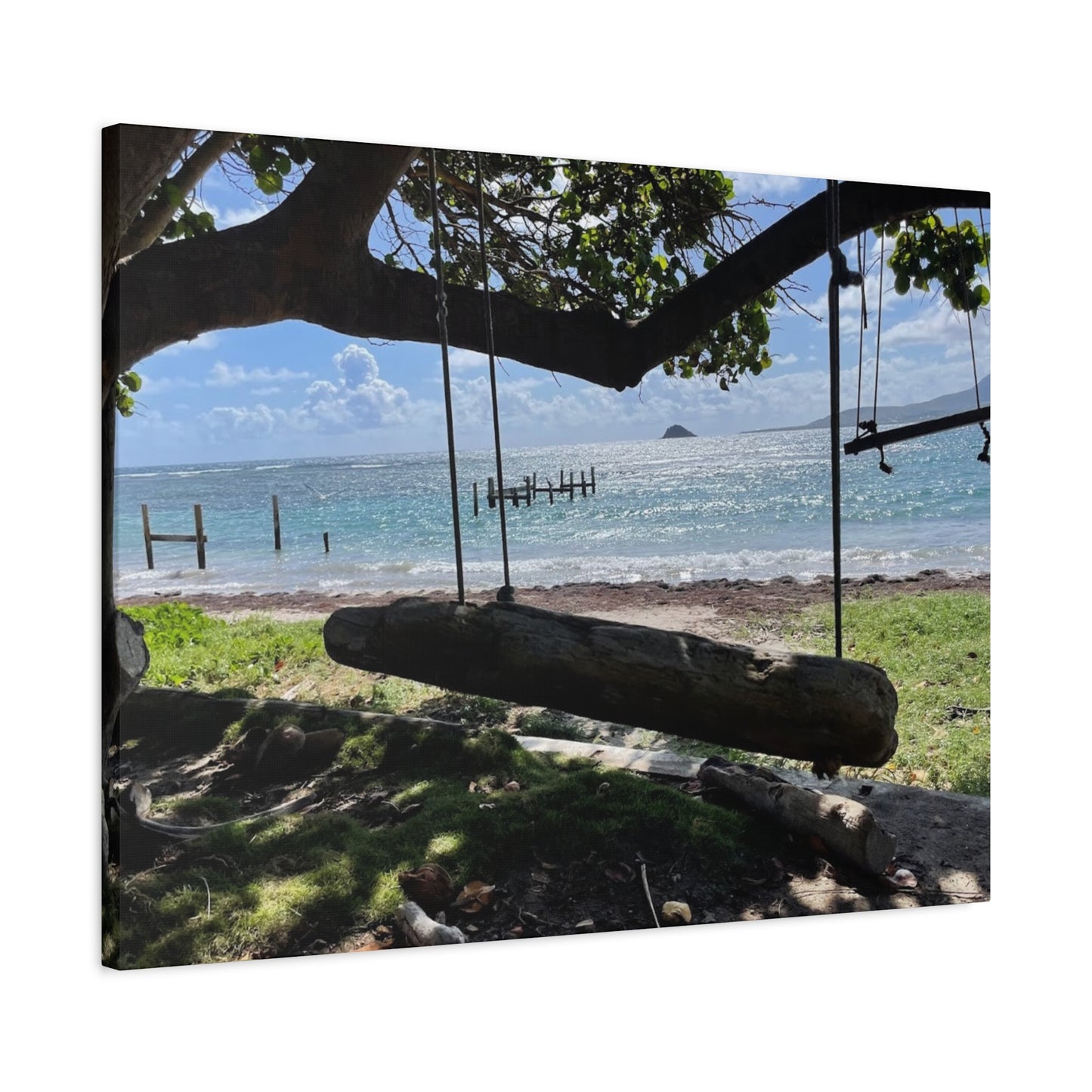 Serene Beach Swing Canvas Art Print