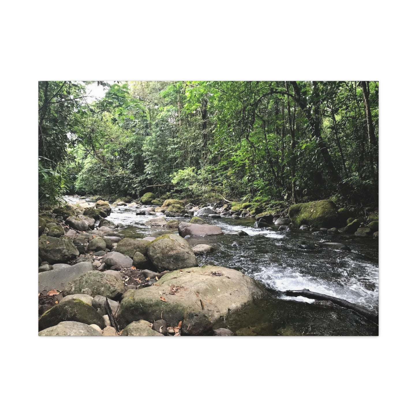 Serene Nature Canvas Wall Art – Tranquil River Landscape, 1.25" Stretched Print