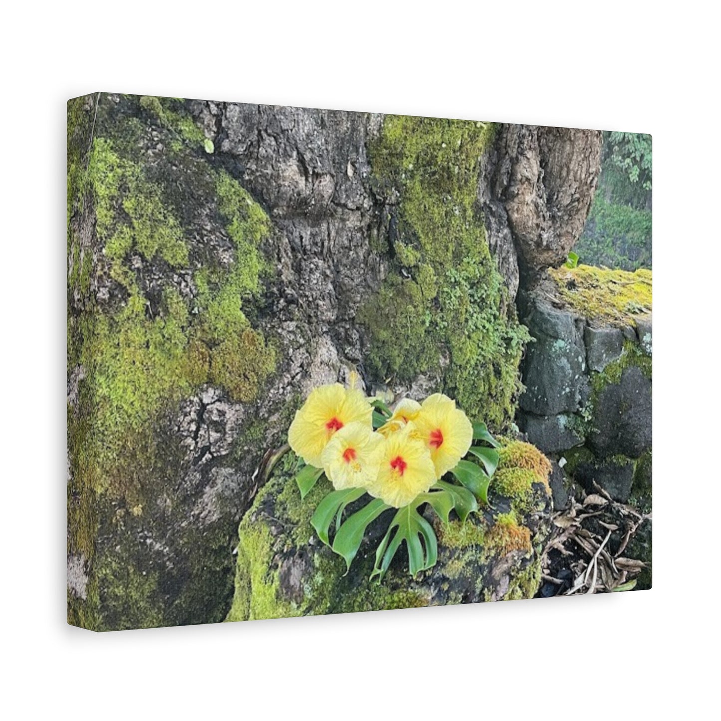 Floral Matte Canvas Art - Yellow Orchid and Moss Decor