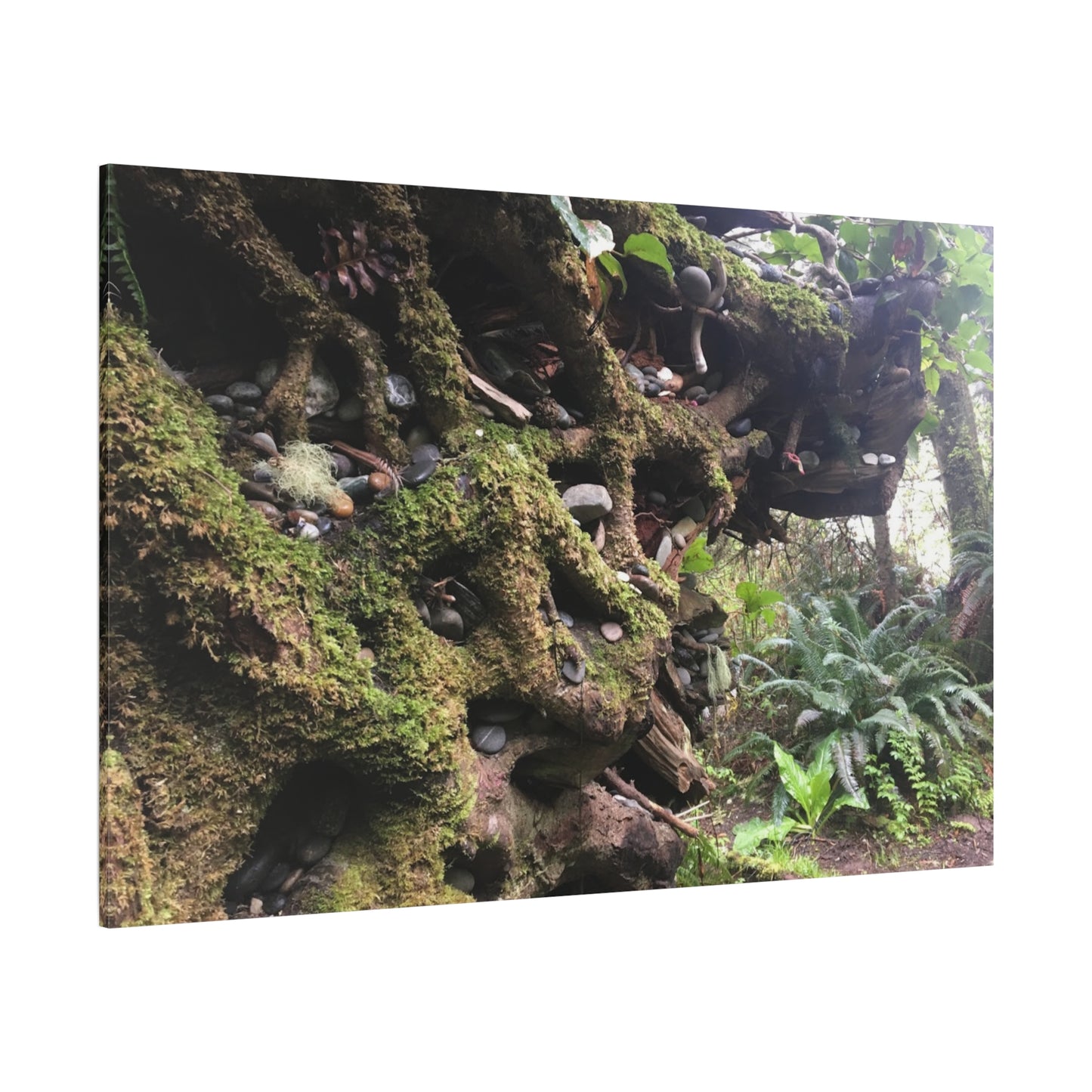 Nature-Inspired Stretched Canvas Art: Enchanted Forest Vibes