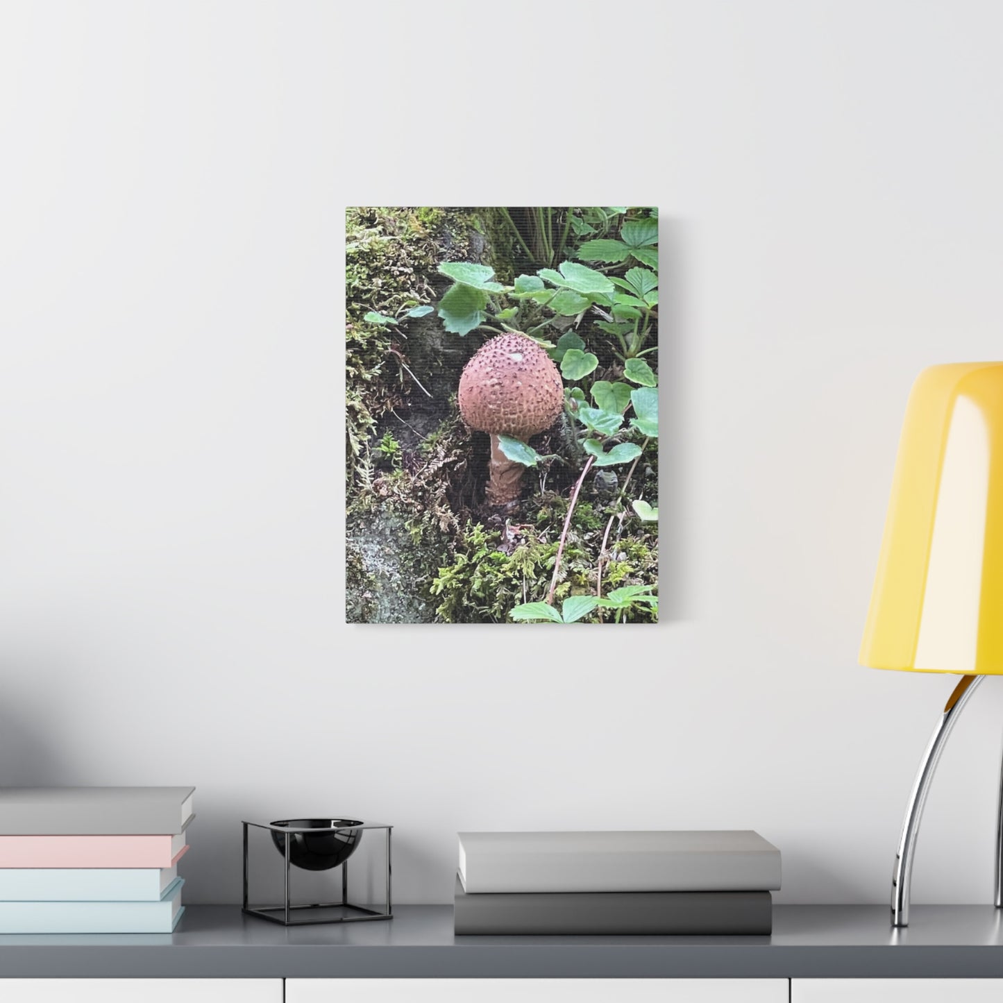 Nature-Inspired Mushroom Canvas Print - 1.25" Stretched Wall Art