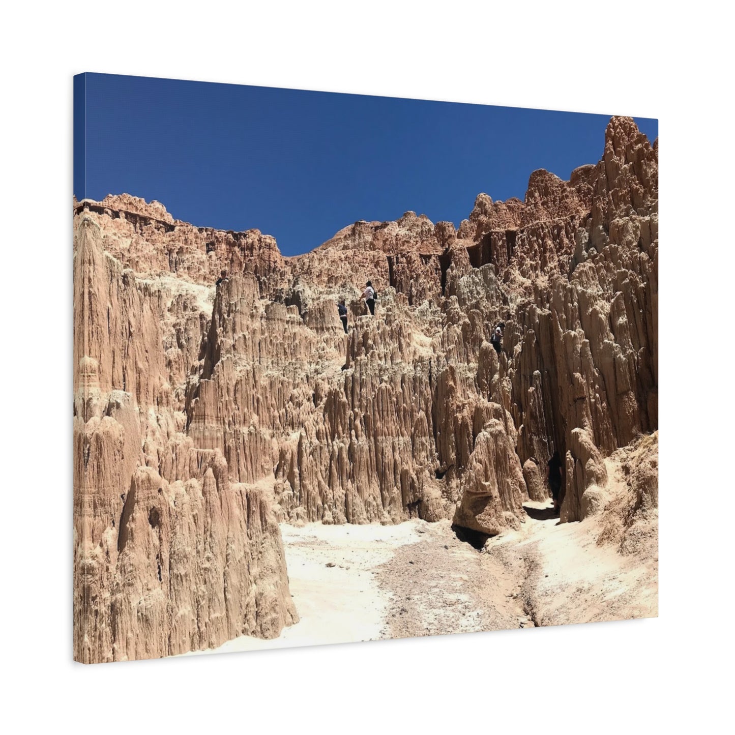 Desert Landscape Canvas Wall Art - Stretched Matte Print