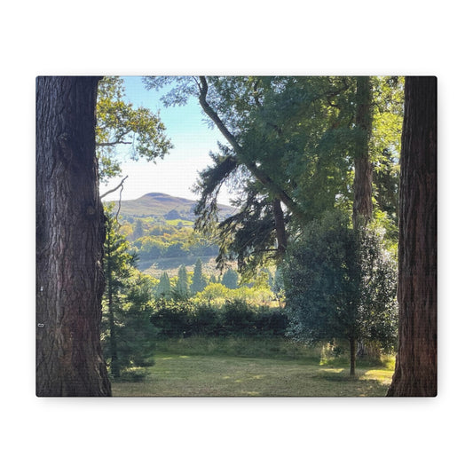 Nature-Inspired Matte Canvas Wall Art - Scenic Landscape Decor