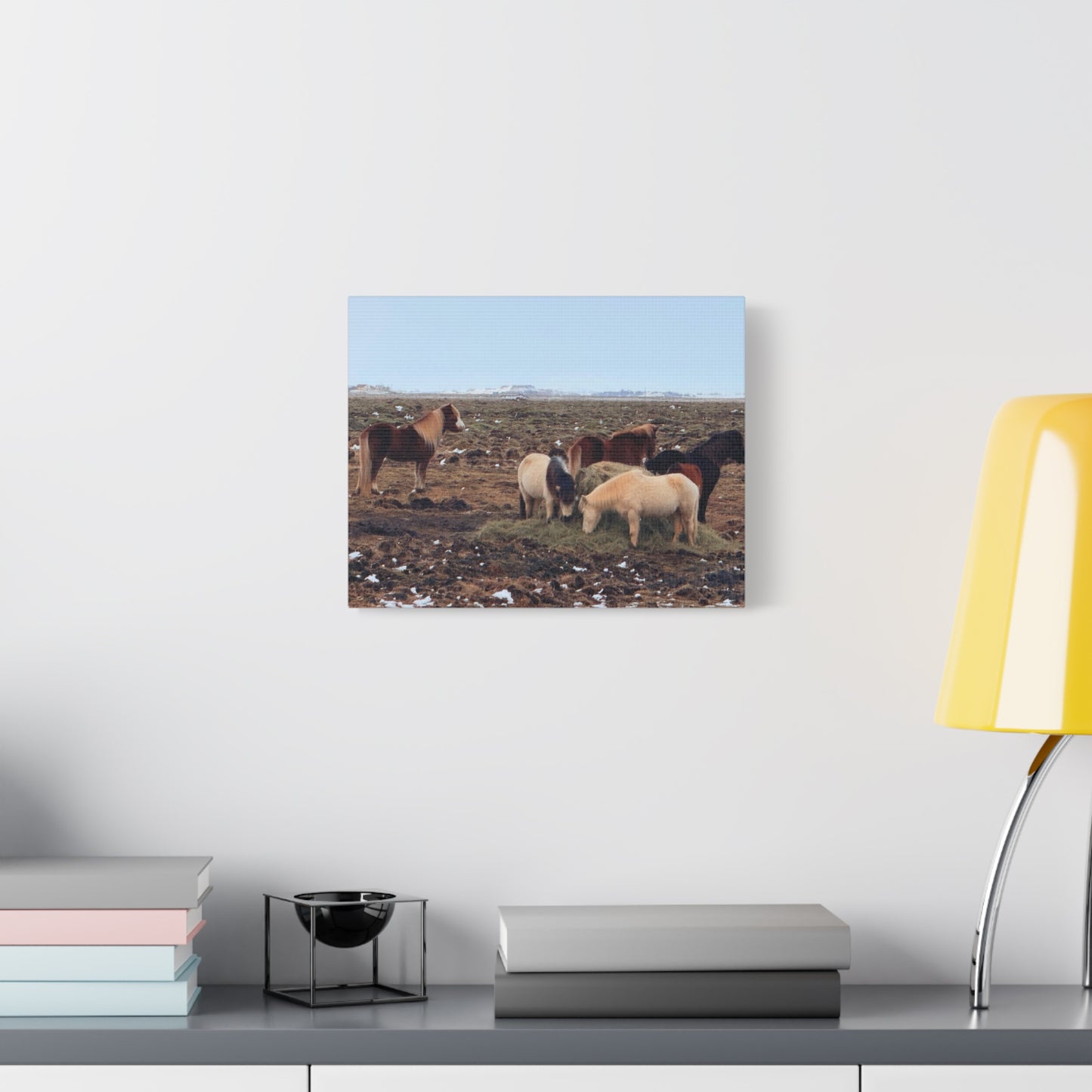 Icelandic Horse Canvas Art - Matte Stretched Print for Animal Lovers