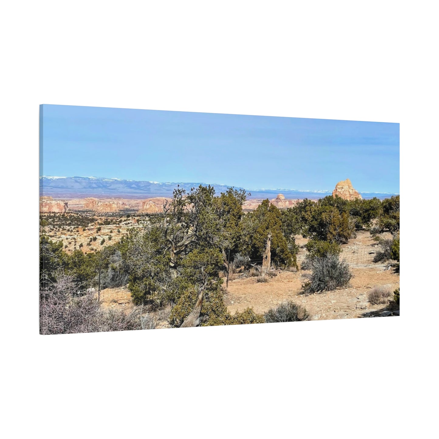 Desert Landscape Canvas Wall Art – 1.25" Matte Stretched Decor for Nature Lovers