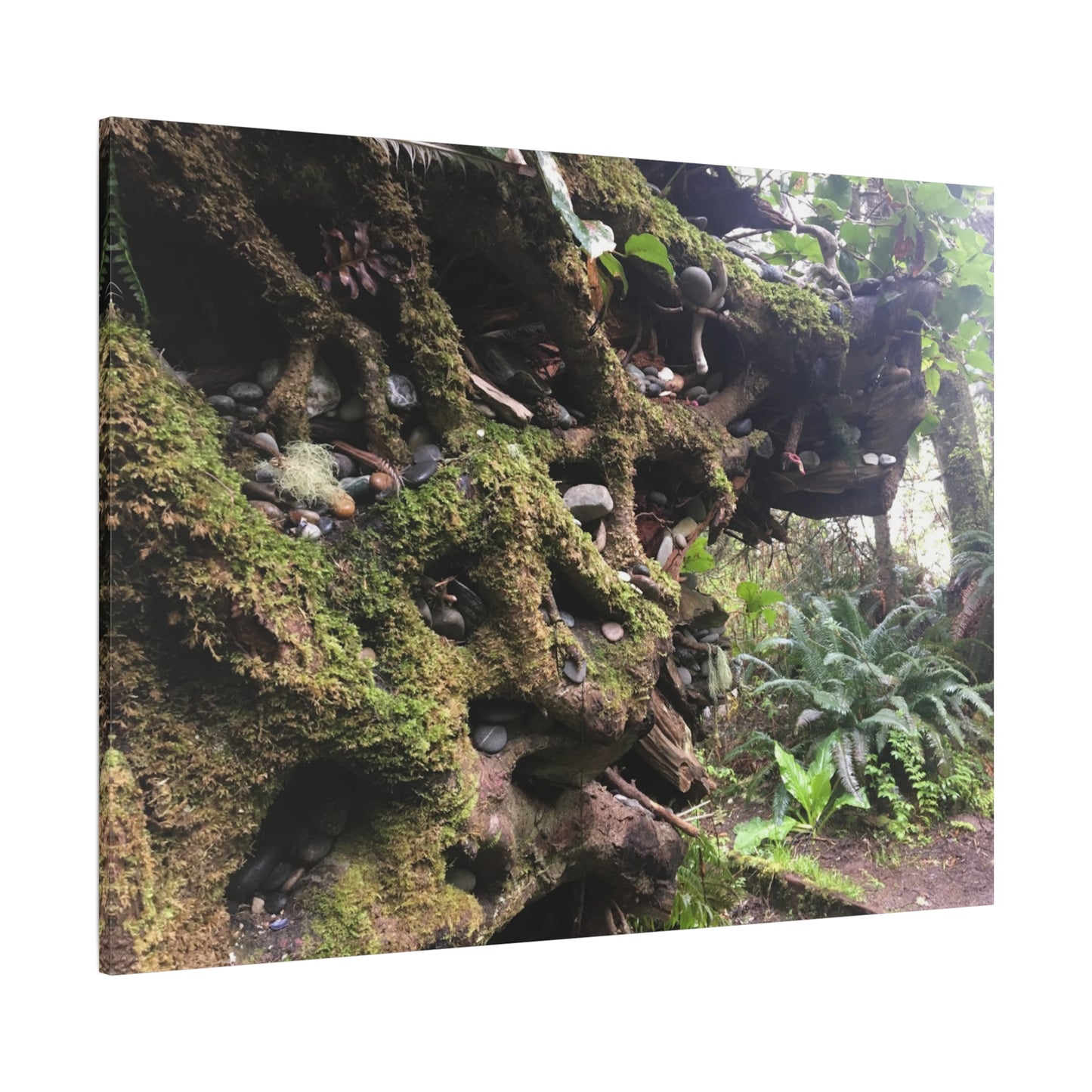 Nature-Inspired Stretched Canvas Art: Enchanted Forest Vibes
