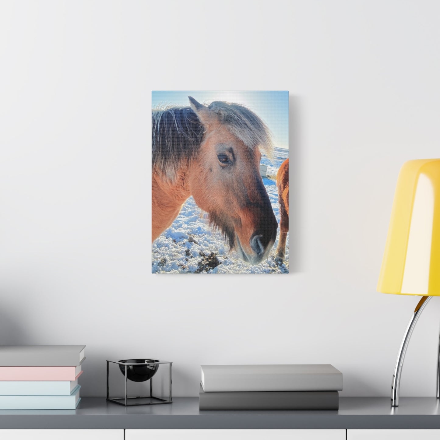Beautiful Horse Canvas Wall Art - Stretched Matte Print for Animal Lovers