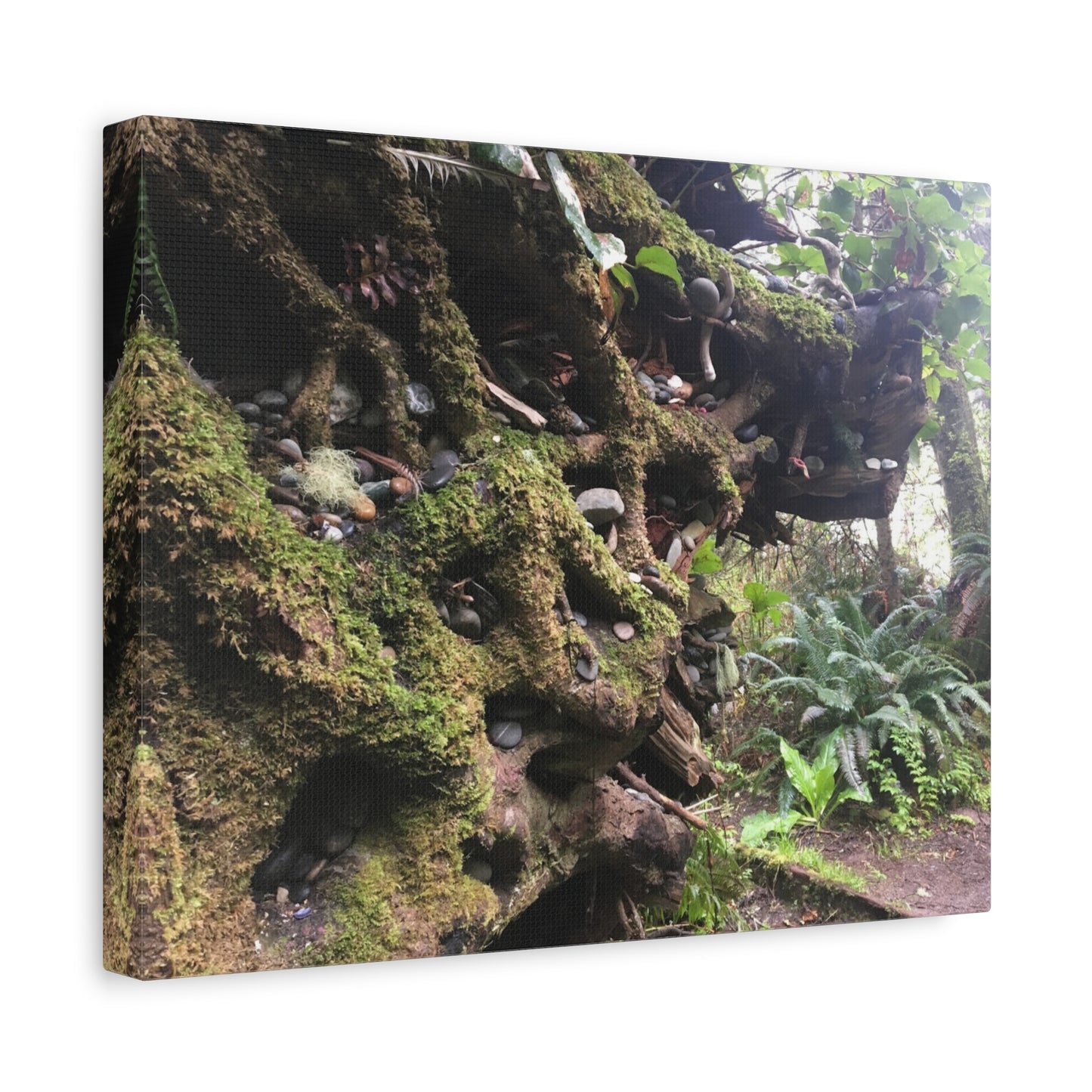 Nature-Inspired Stretched Canvas Art: Enchanted Forest Vibes