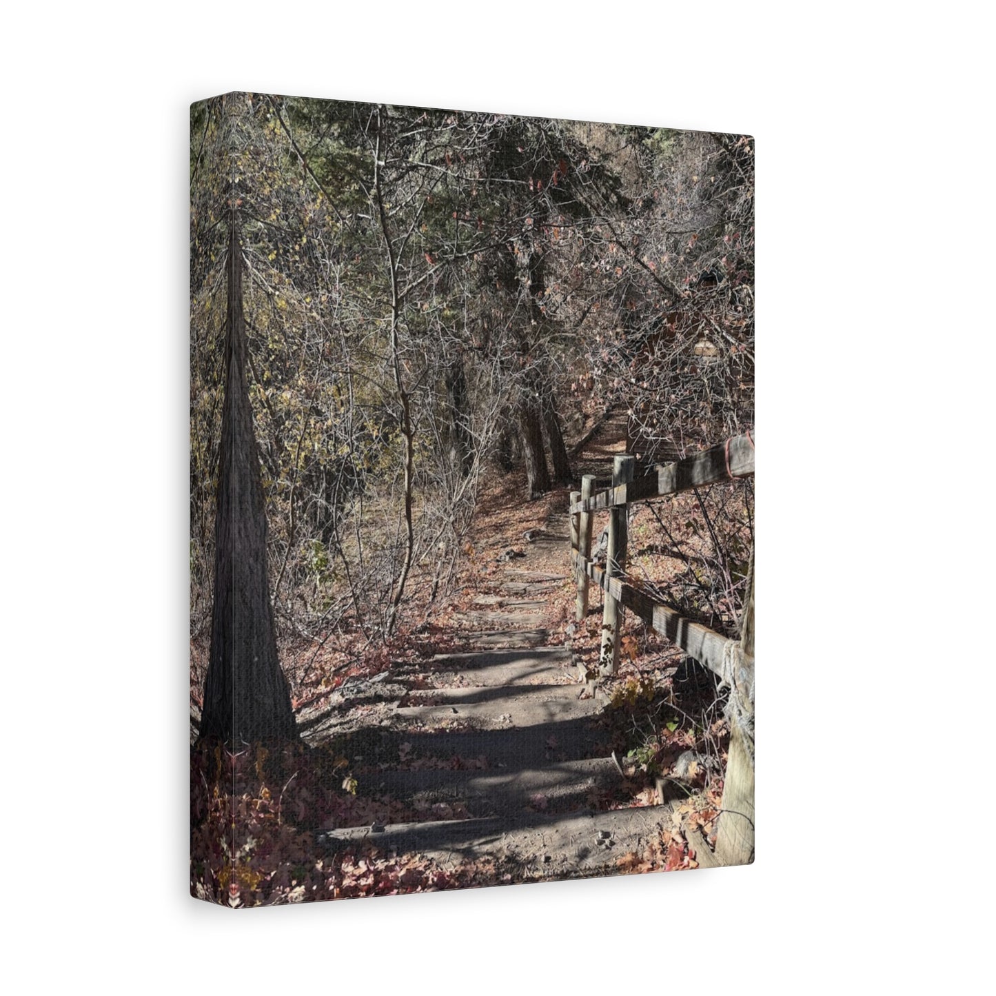 Nature Path Matte Canvas Wall Art - Tranquil Landscape Decor
