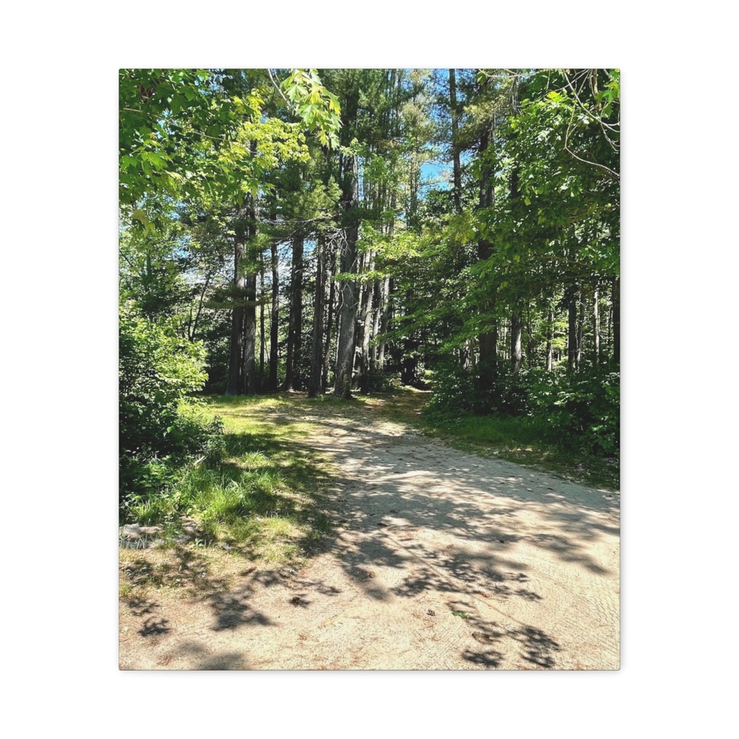 Serene Forest Path Canvas Wall Art - Tranquil Nature Decor for Home