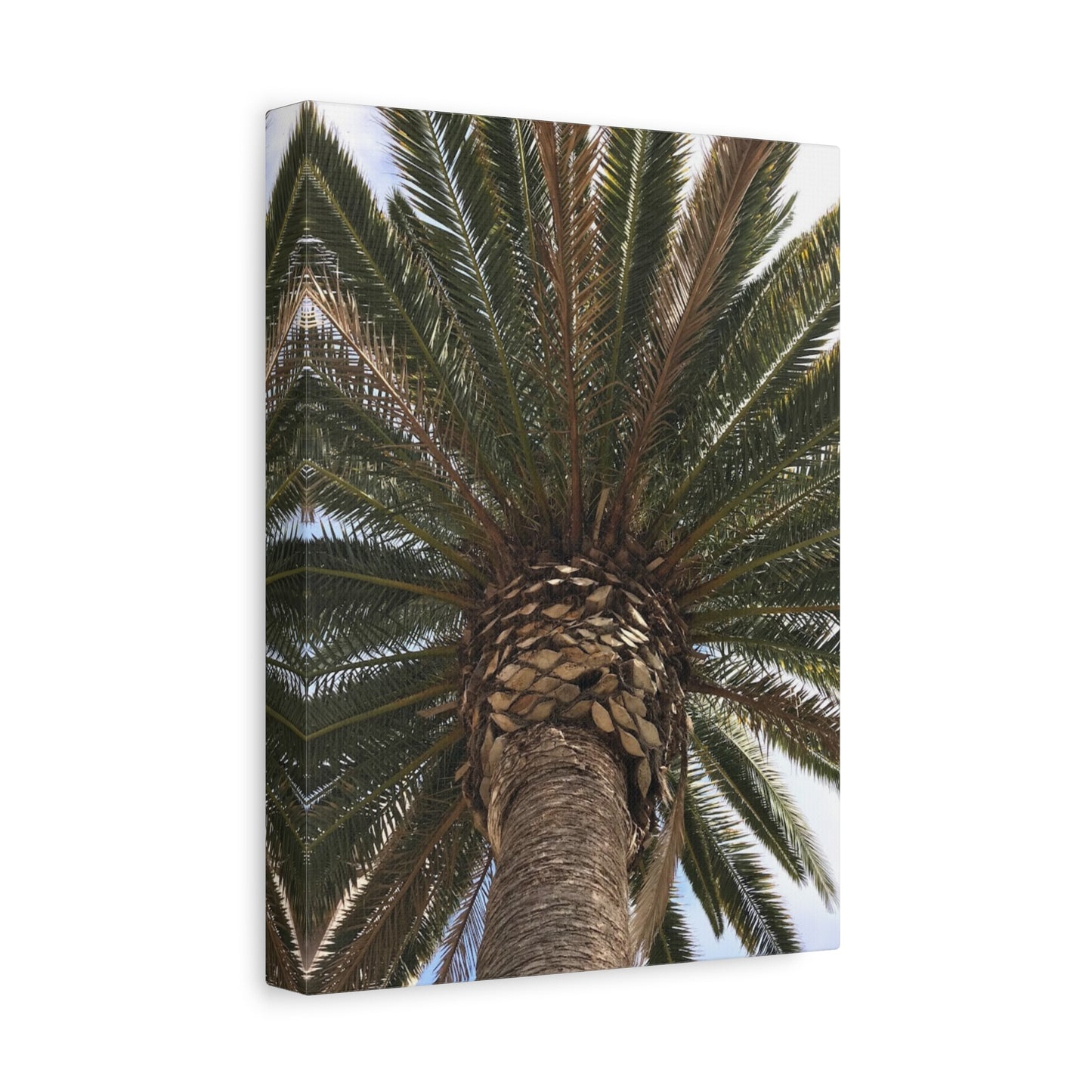 Tropical Palm Tree Canvas Art - Stretched Wall Decor for Home or Office