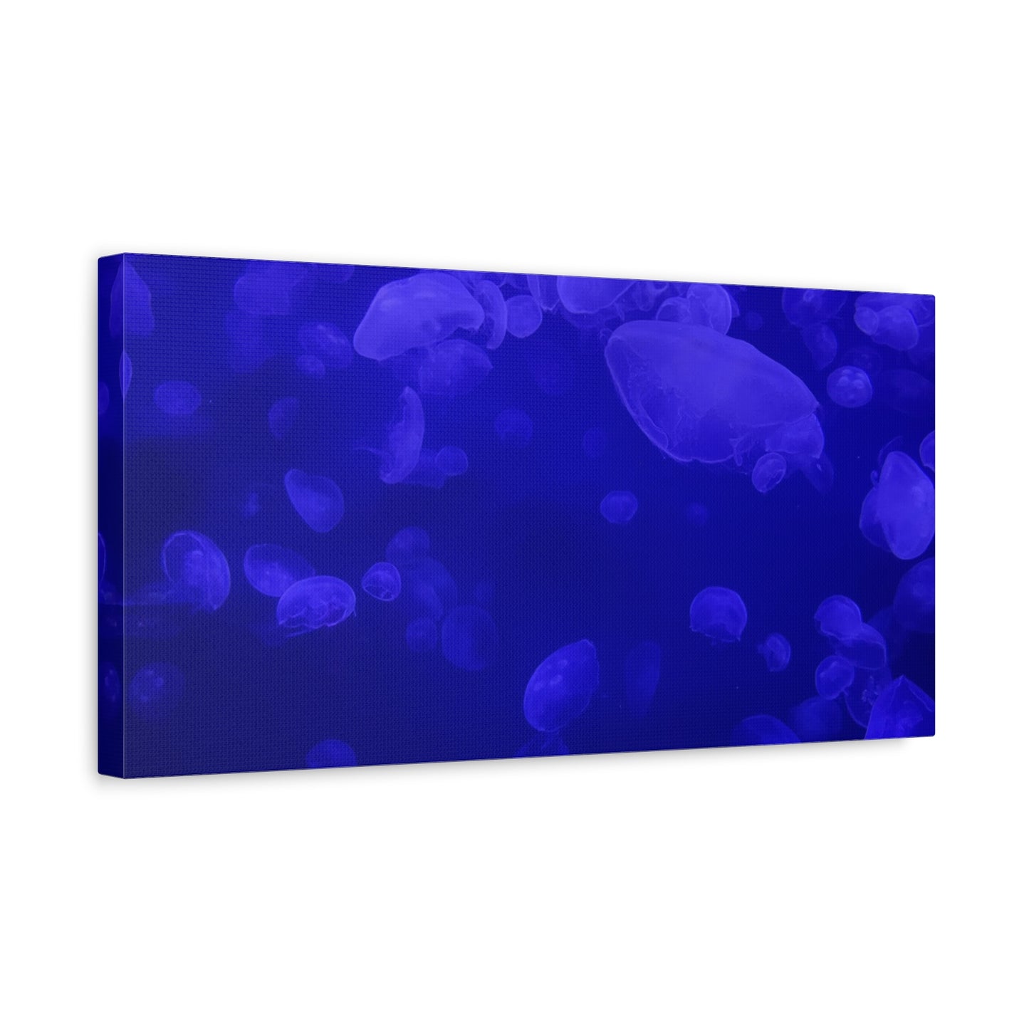 Jellyfish Watercolor Canvas Art - Ocean Theme Wall Decor