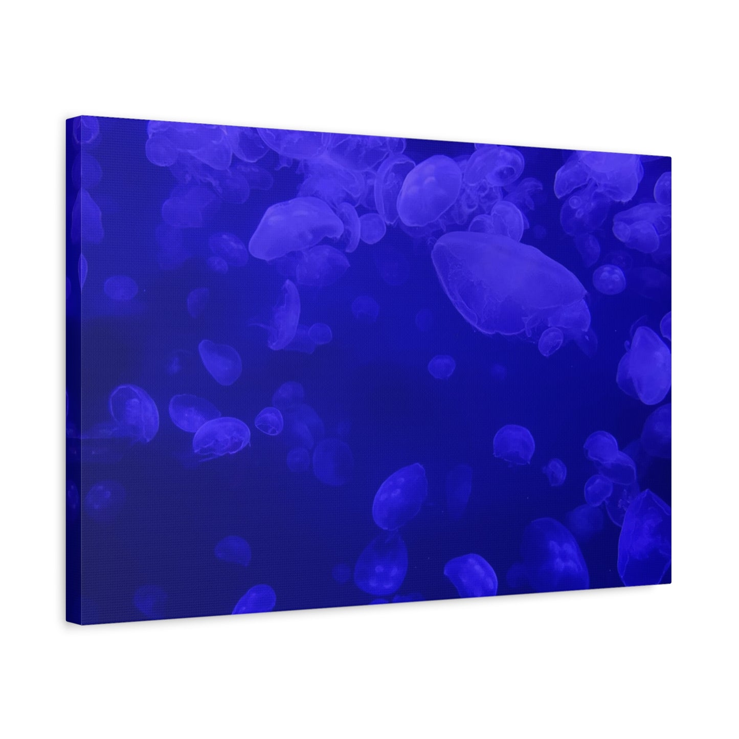 Jellyfish Watercolor Canvas Art - Ocean Theme Wall Decor