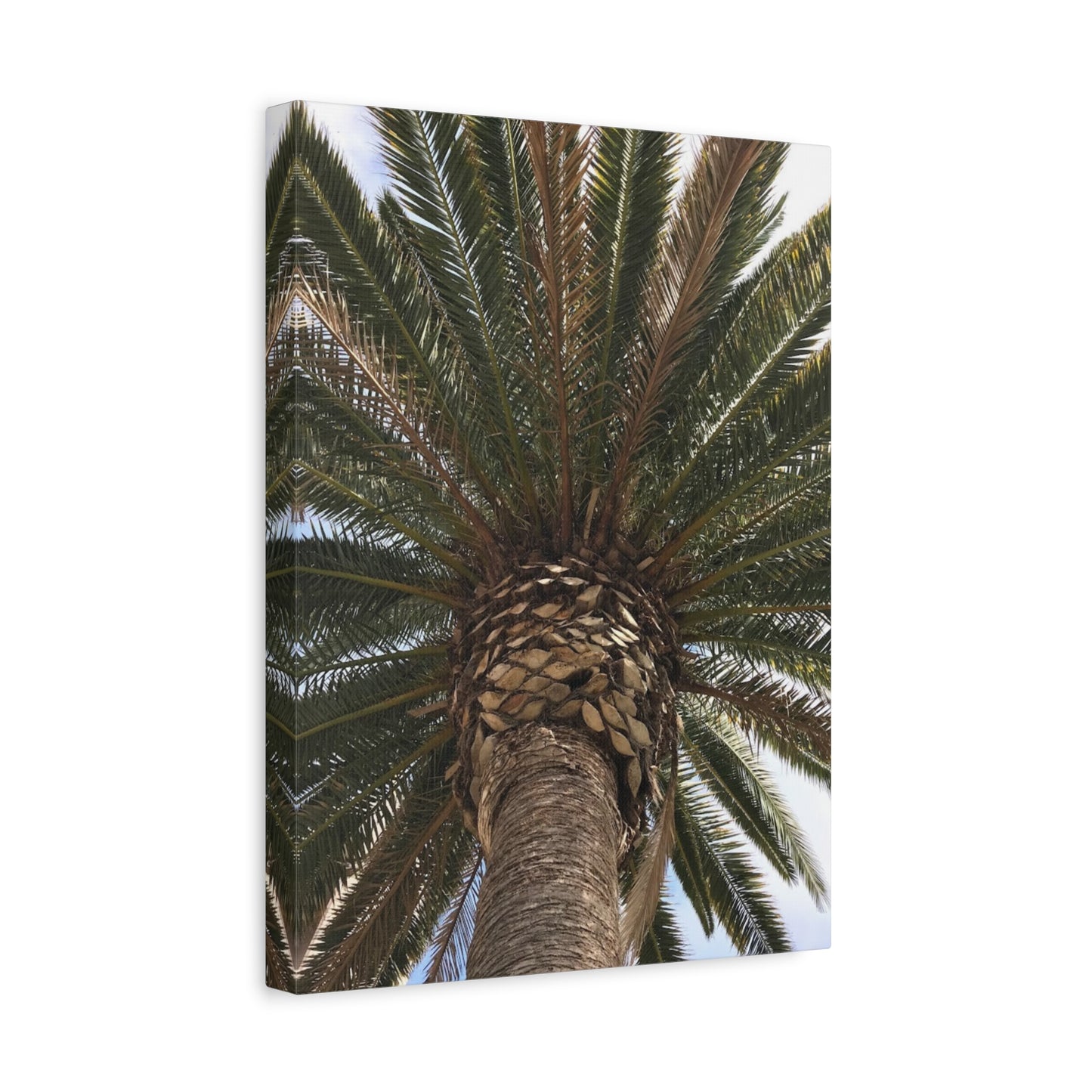 Tropical Palm Tree Canvas Art - Stretched Wall Decor for Home or Office