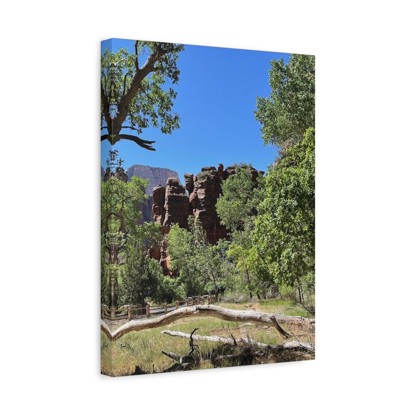 Stretched Canvas Art - Scenic Nature Landscape
