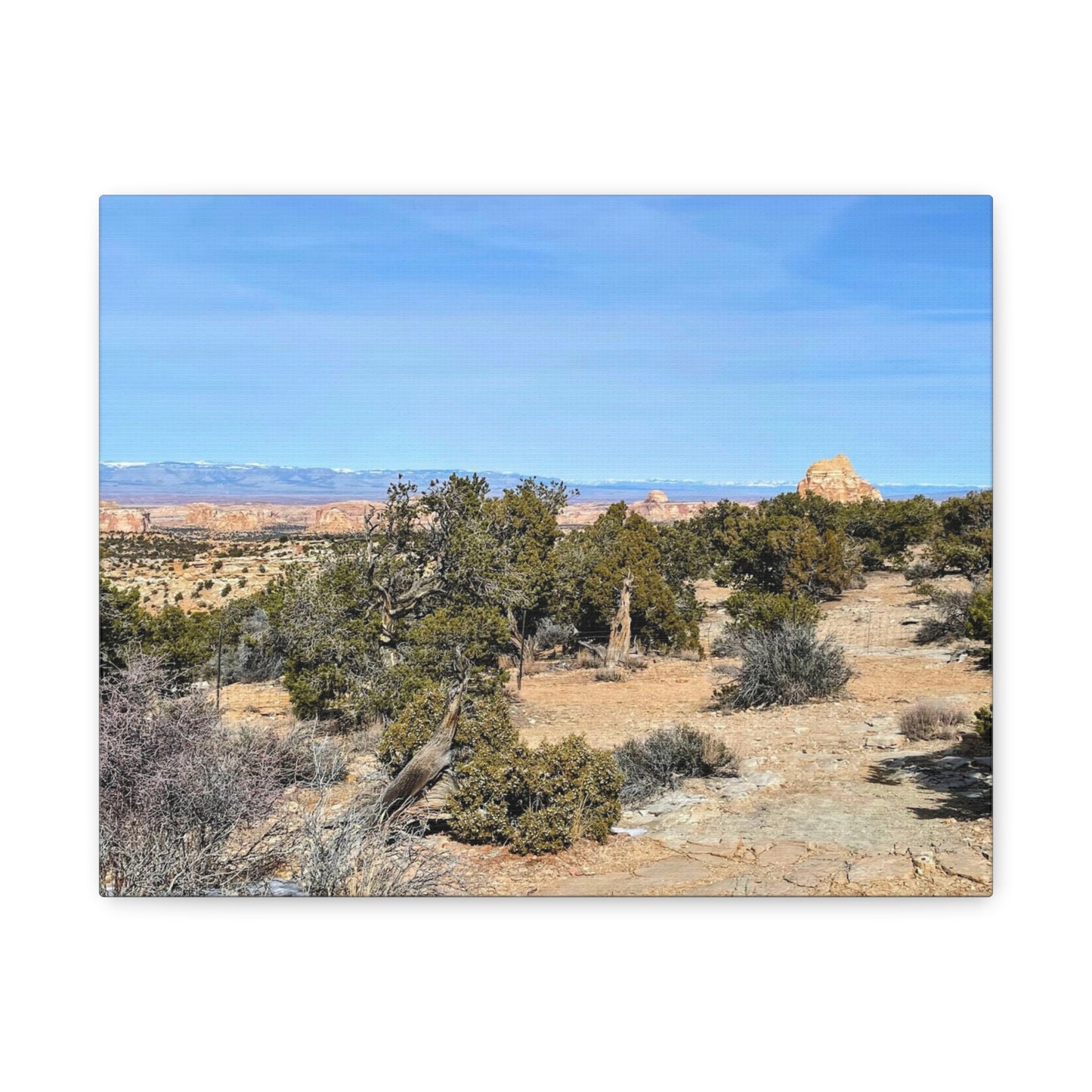 Desert Landscape Canvas Wall Art – 1.25" Matte Stretched Decor for Nature Lovers